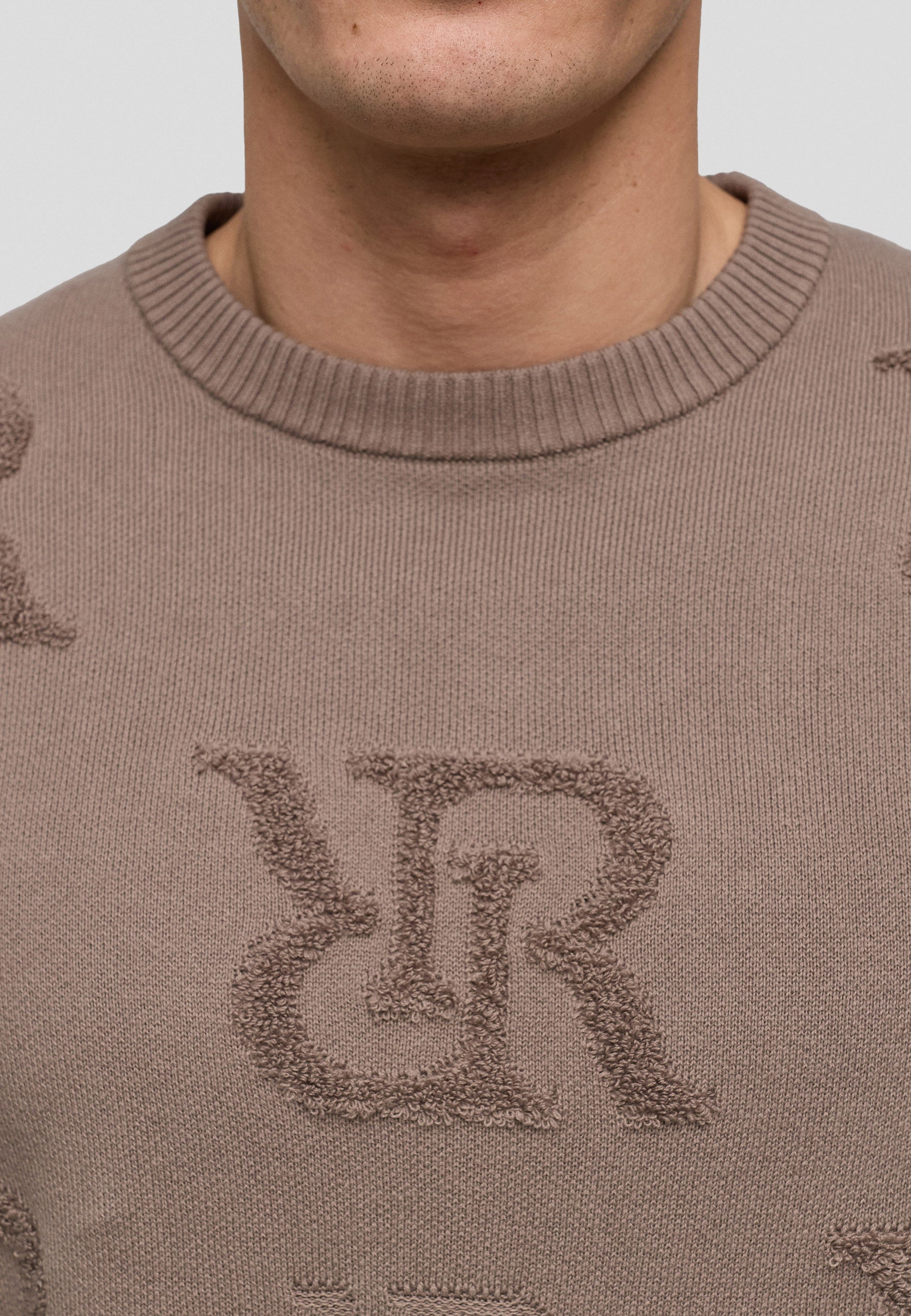 Signature Sweater - beige
